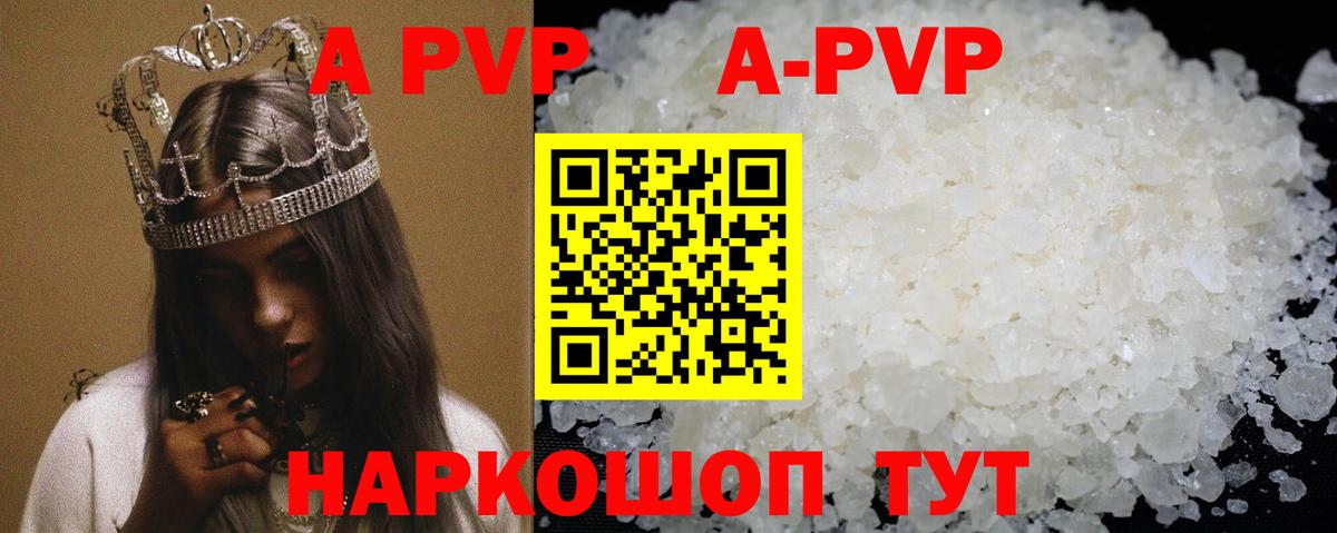 A-PVP СК КРИС Великий Новгород