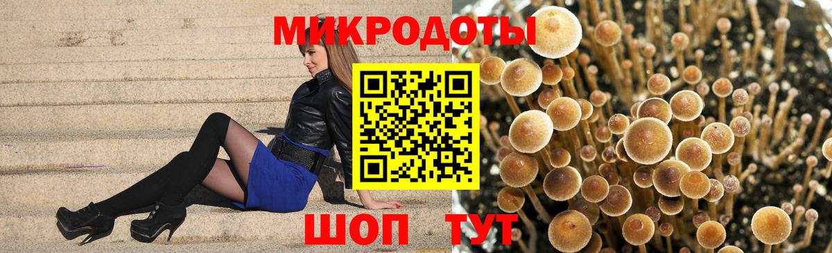 Псилоцибиновые грибы мухоморы Великий Новгород